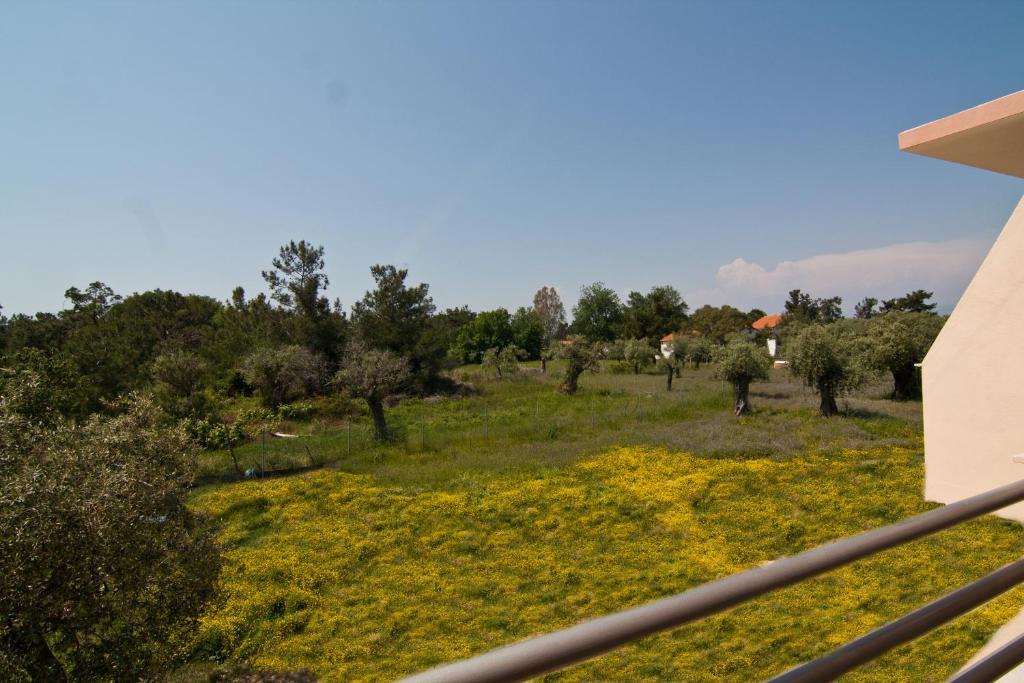 Studios Dimitraki Skala Rachoni  Room photo